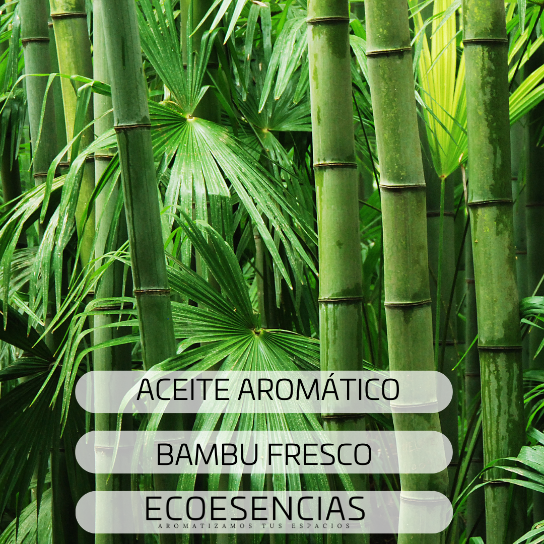 Aroma Bambú Fresco