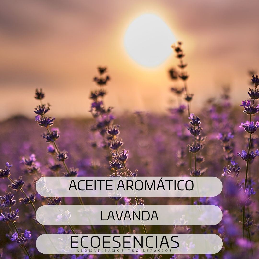 Aroma Lavanda