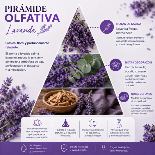 Aroma Lavanda
