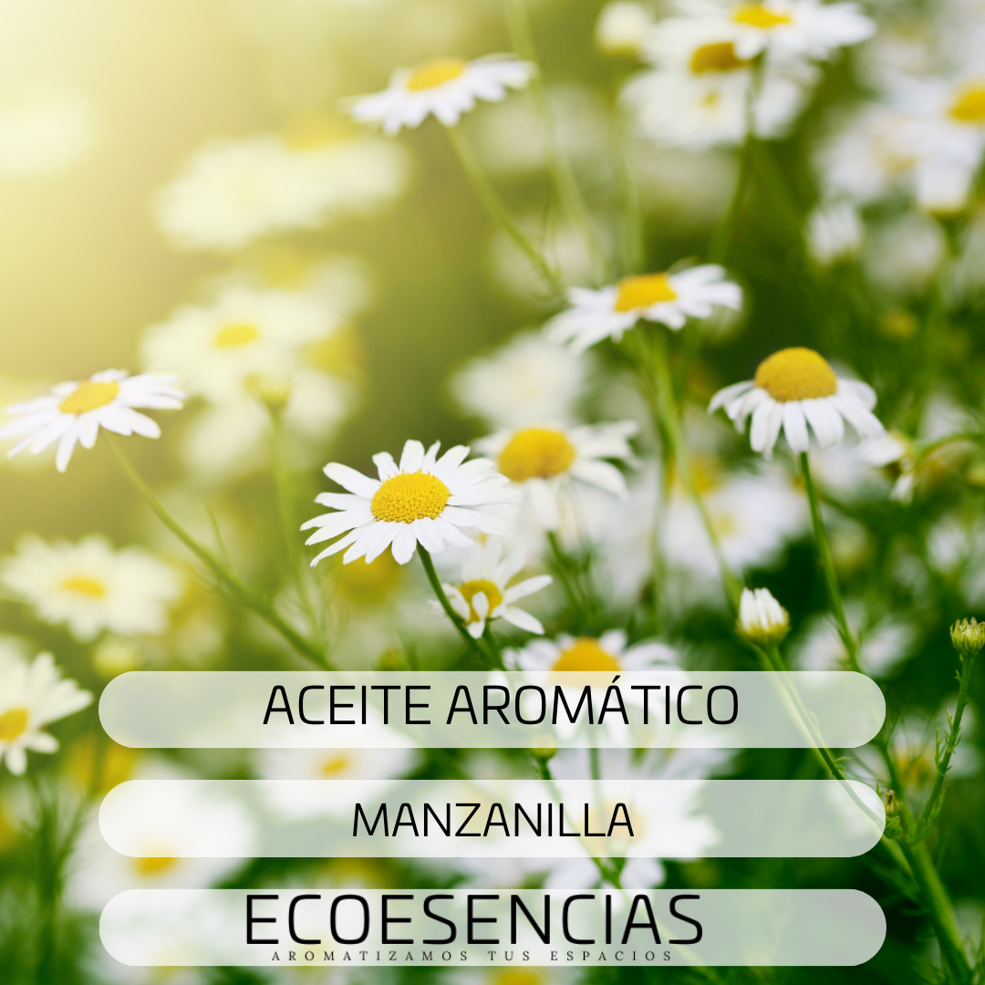 Aroma Manzanilla