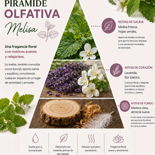 Aroma Melisa
