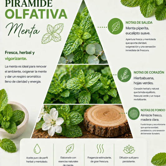 Aroma Menta