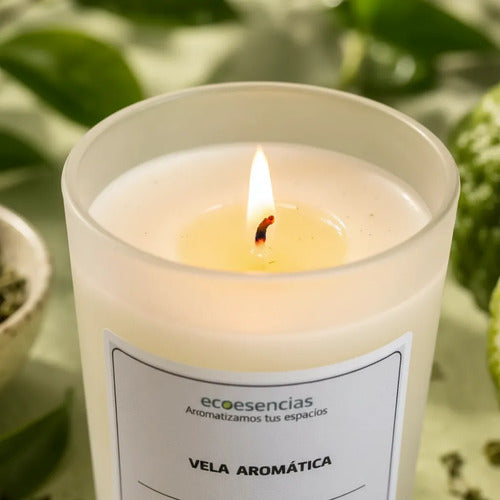 Vela Aromática Té Verde y Bergamota – 160 g