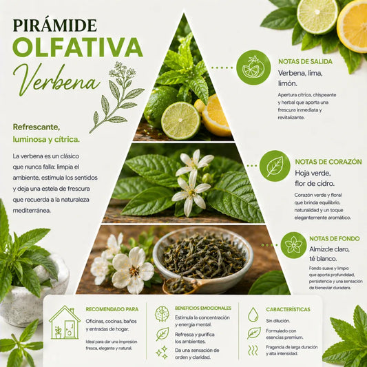 Aroma Verbena