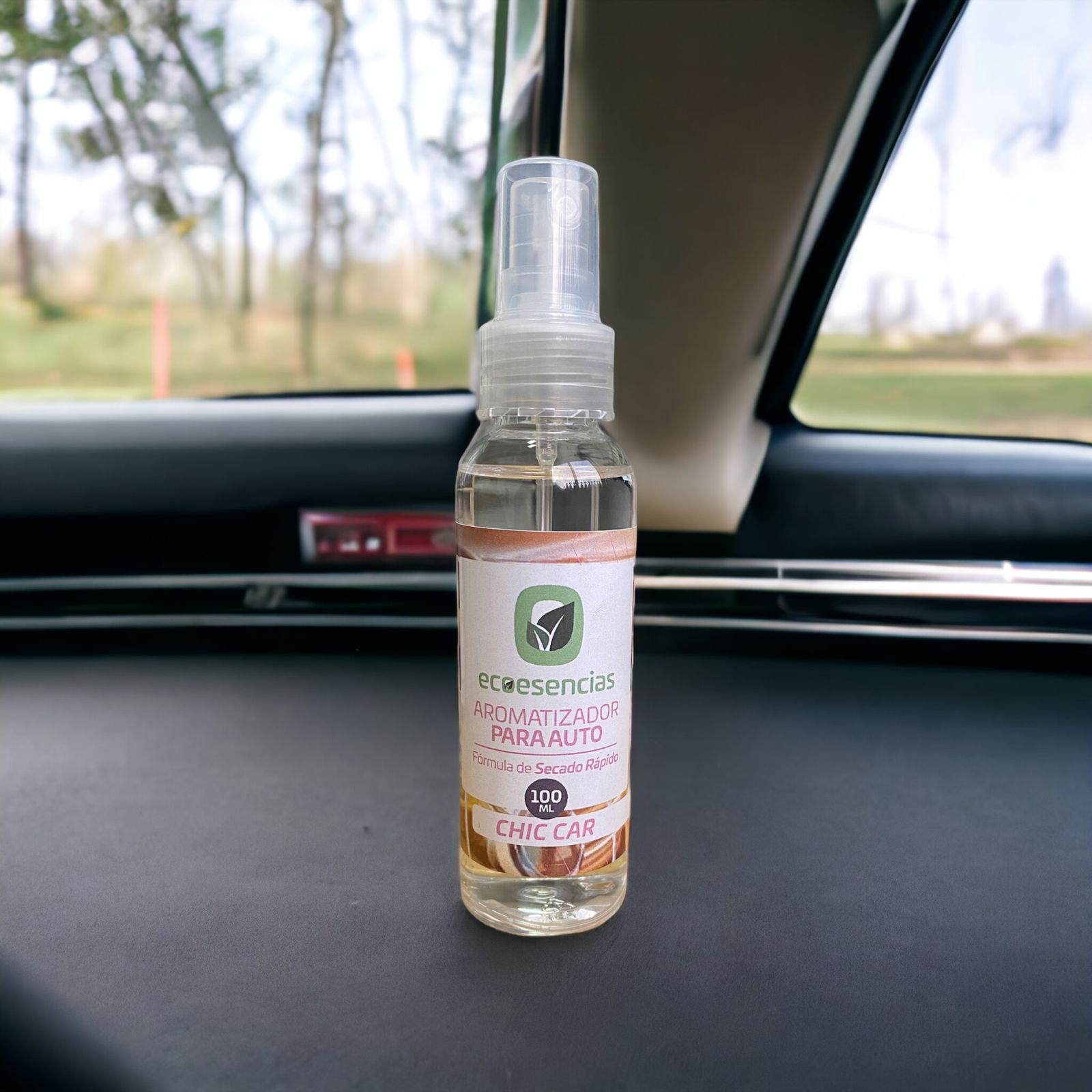 Spray Automotriz Chic Car